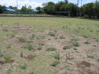 Brisbane - Buranda - Buranda Bowls Club R K Brown Green Surface (21 Jan 2007)